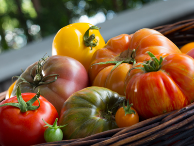 A basket of red, orange, yellow, and green tomatoes.