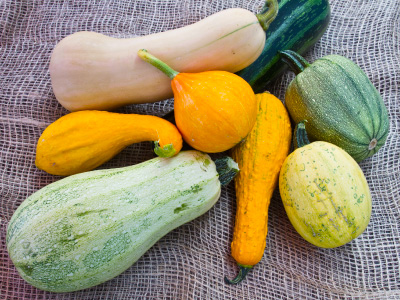 Yellow and green squash, gourds, and zucchini on a burlap bag.